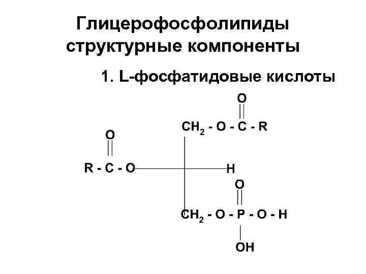 Схема синтеза глицерофосфолипидов