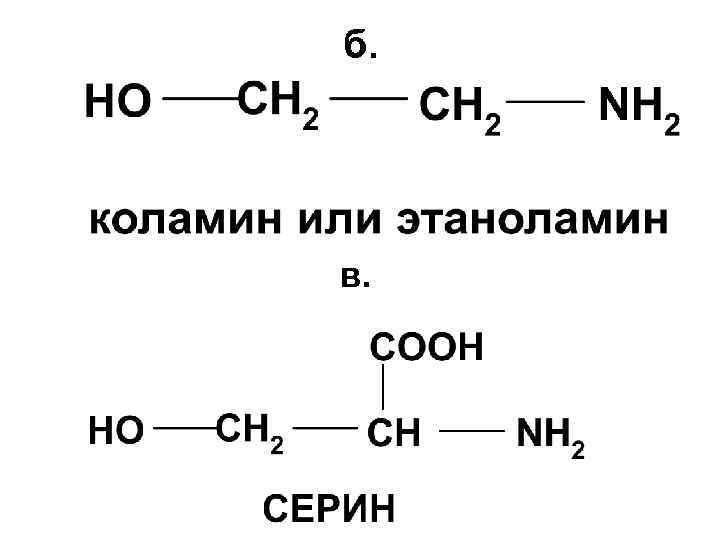 Пероксидное окисление липидов