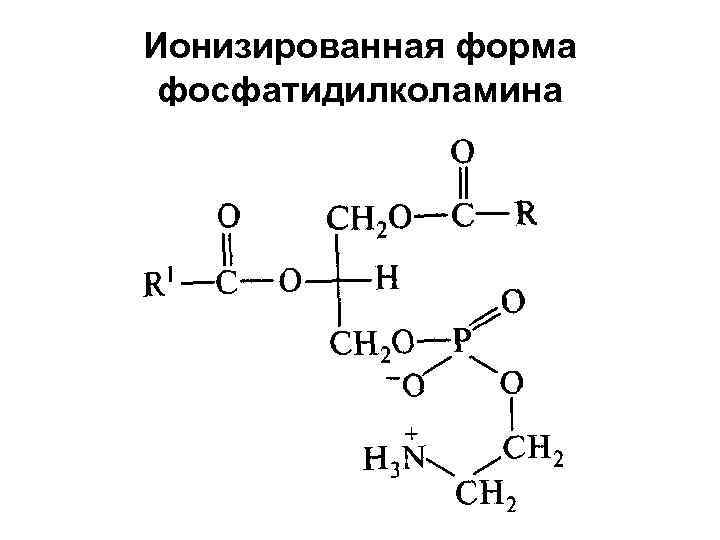 Ионизированная форма фосфатидилколамина 