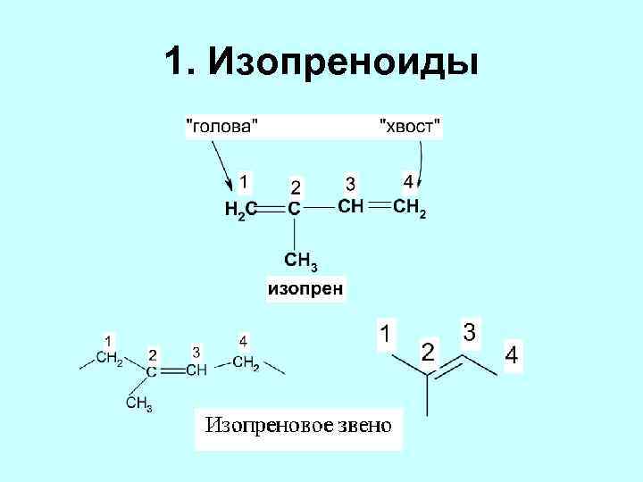 1. Изопреноиды 