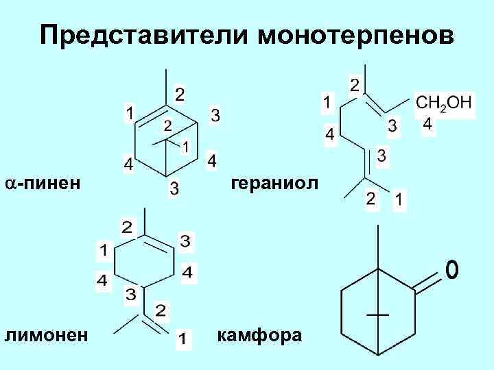 Представители монотерпенов -пинен лимонен гераниол камфора 