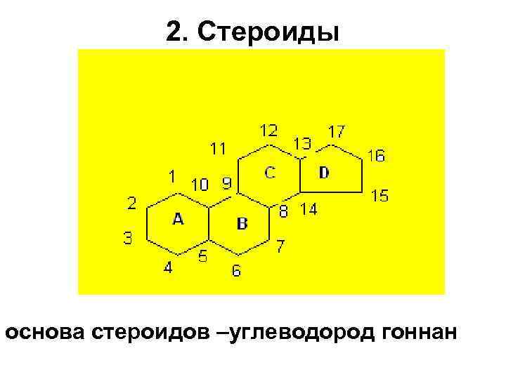 2. Стероиды основа стероидов –углеводород гоннан 