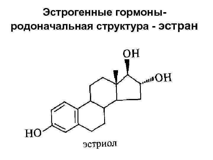 Эстрогенные гормоныродоначальная структура - эстран 