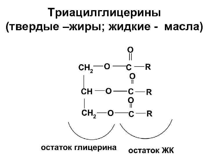 Простые липиды. Общая формула липидов. Строение липидов структурная формула. Общая структурная формула липидов. Формула жиров липидов.