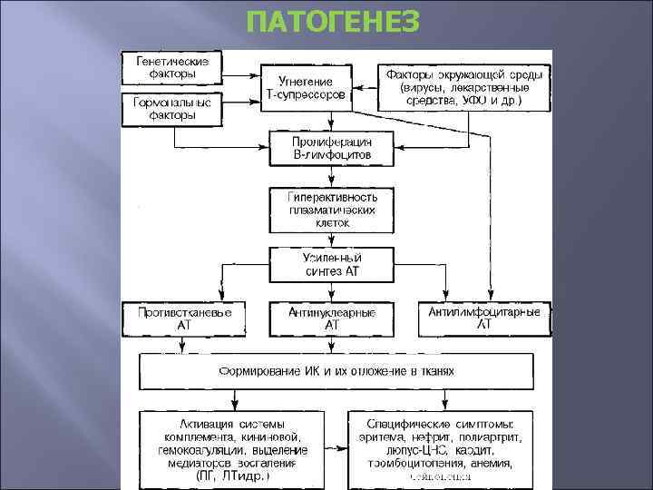 ПАТОГЕНЕЗ 