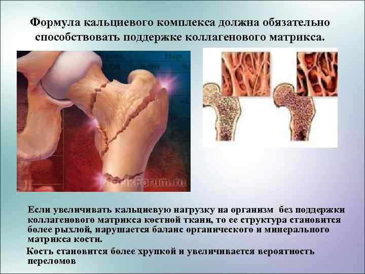 Формула кальциевого комплекса должна обязательно способствовать поддержке коллагенового матрикса. Если увеличивать кальциевую нагрузку на