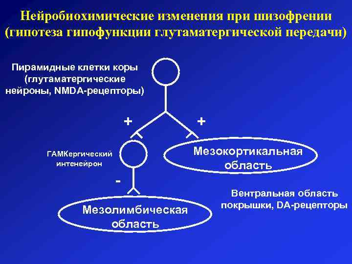 Нейробиохимические изменения при шизофрении (гипотеза гипофункции глутаматергической передачи) Пирамидные клетки коры (глутаматергические нейроны, NMDA-рецепторы)