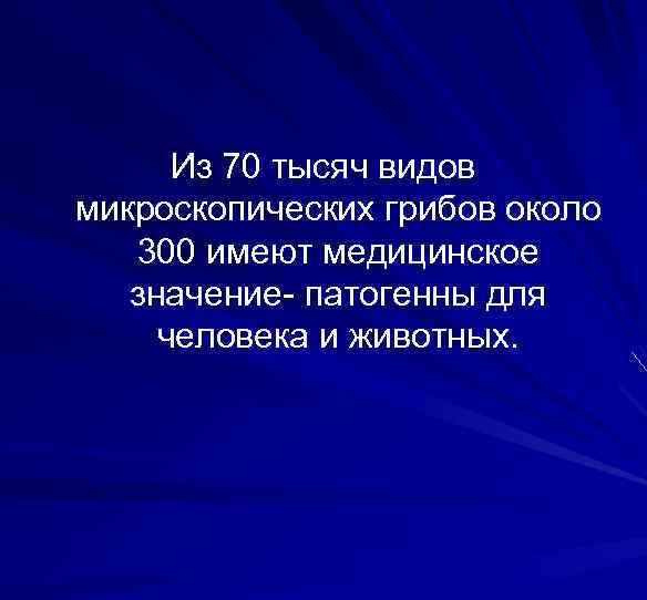 Из 70 тысяч видов микроскопических грибов около 300 имеют медицинское значение- патогенны для человека