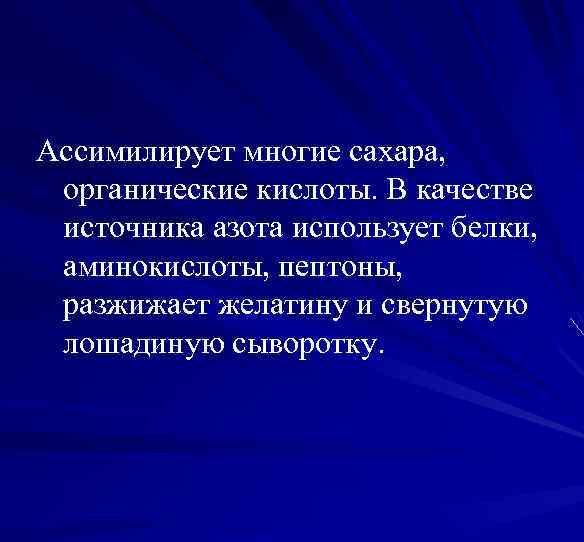 Ассимилирует многие сахара, органические кислоты. В качестве источника азота использует белки, аминокислоты, пептоны, разжижает