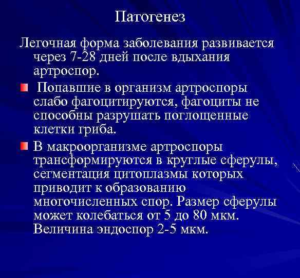 Патогенез Легочная форма заболевания развивается через 7 -28 дней после вдыхания артроспор. Попавшие в