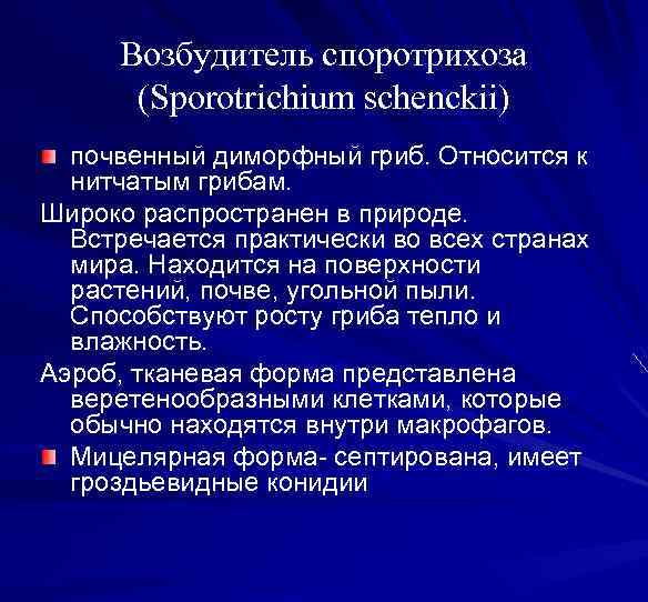 Возбудитель споротрихоза (Sporotrichium schenckii) почвенный диморфный гриб. Относится к нитчатым грибам. Широко распространен в