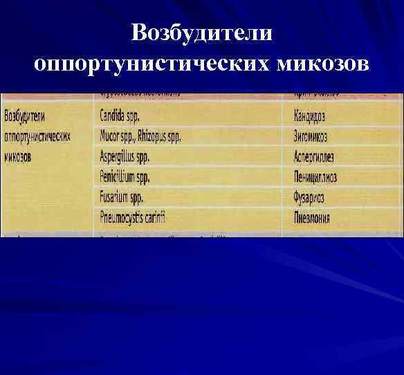 Возбудители оппортунистических микозов 