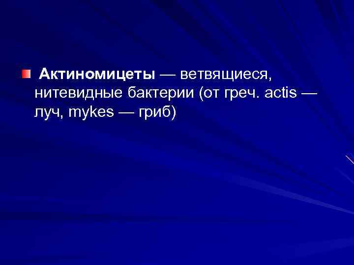 Актиномицеты — ветвящиеся, нитевидные бактерии (от греч. actis — луч, mykes — гриб) 