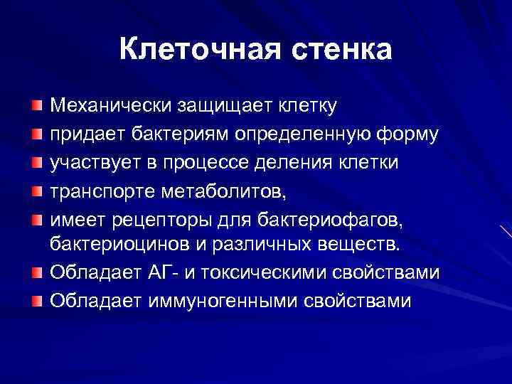 Клеточная стенка Механически защищает клетку придает бактериям определенную форму участвует в процессе деления клетки