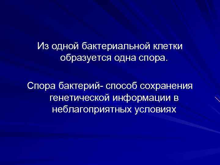 Из одной бактериальной клетки образуется одна спора. Спора бактерий- способ сохранения генетической информации в