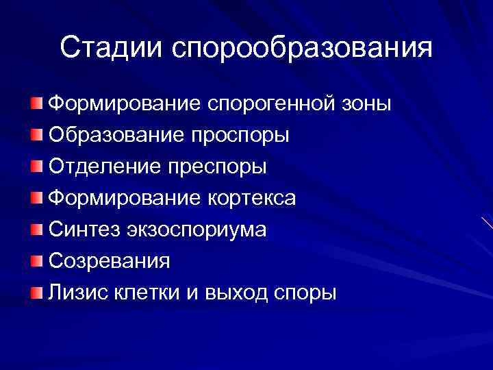 Стадии спорообразования Формирование спорогенной зоны Образование проспоры Отделение преспоры Формирование кортекса Синтез экзоспориума Созревания