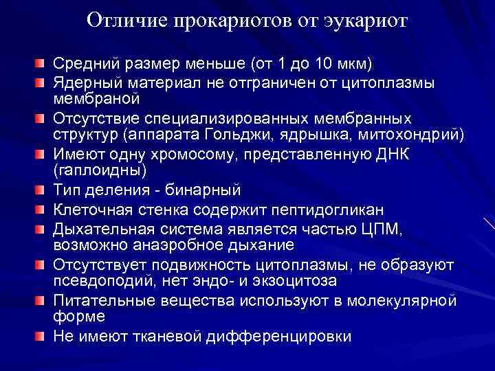 Основным руководством по систематике микроорганизмов является