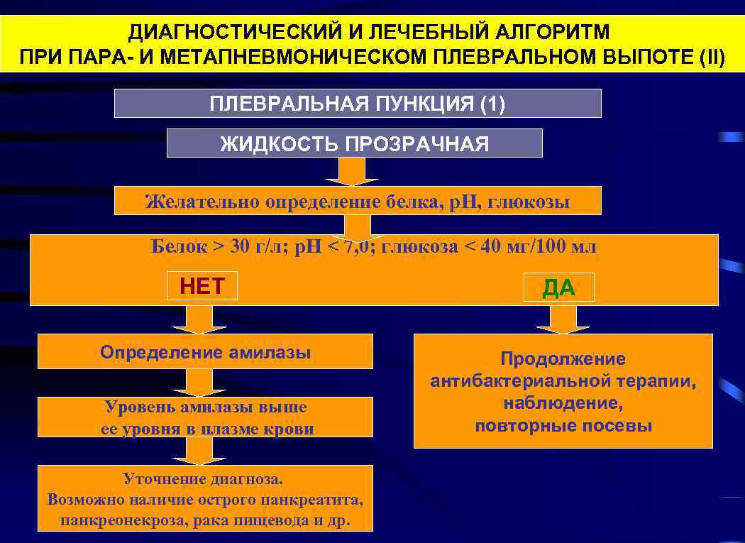 ДИАГНОСТИЧЕСКИЙ И ЛЕЧЕБНЫЙ АЛГОРИТМ ПРИ ПАРА- И МЕТАПНЕВМОНИЧЕСКОМ ПЛЕВРАЛЬНОМ ВЫПОТЕ (II) ПЛЕВРАЛЬНАЯ ПУНКЦИЯ (1)