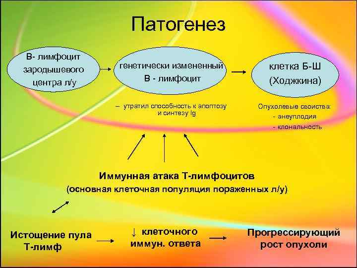 Патогенез B- лимфоцит зародышевого центра л/у генетически измененный В - лимфоцит клетка Б-Ш (Ходжкина)