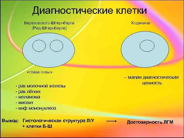 Диагностические клетки Березовского-Штернберга (Рид-Штернберга) Ходжкина «глаза совы» - рак молочной железы - рак лёгких