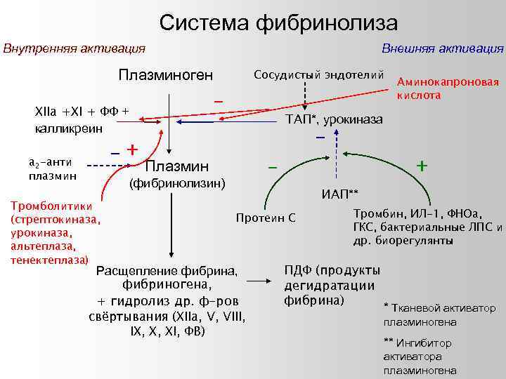 Схема фибринолиза физиология