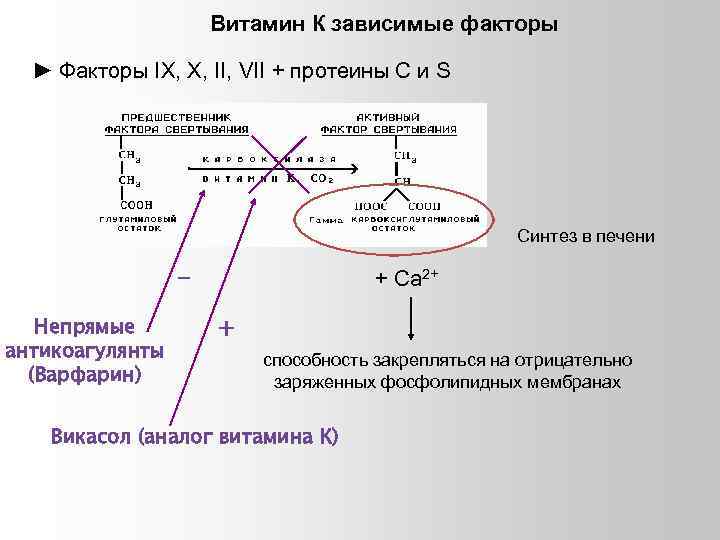 Высший синтез. Витамин к зависимые факторы свертывания. Витамин k зависимые факторы свертывания крови. Витамин к зависимые факторы свертывания крови Синтез. Витамин к зависимые антикоагулянты синтезирующиеся в печени.