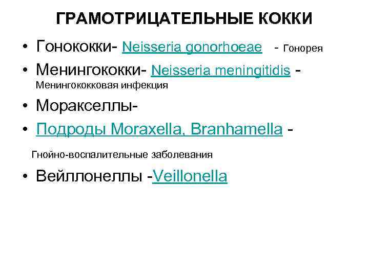 ГРАМОТРИЦАТЕЛЬНЫЕ КОККИ • Гонококки- Neisseria gonorhoeae - Гонорея • Менингококки- Neisseria meningitidis Менингококковая инфекция
