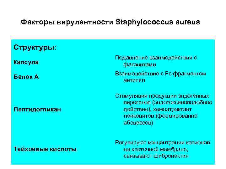 Факторы вирулентности Staphylococcus aureus Структуры: Капсула Подавление взаимодействия с фагоцитами Белок А Взаимодействие с