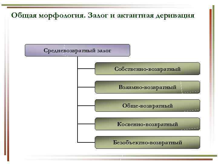 Общая морфология. Залог и актантная деривация Средневозвратный залог Собственно-возвратный Взаимно-возвратный Обще-возвратный Косвенно-возвратный Безобъектно-возвратный 