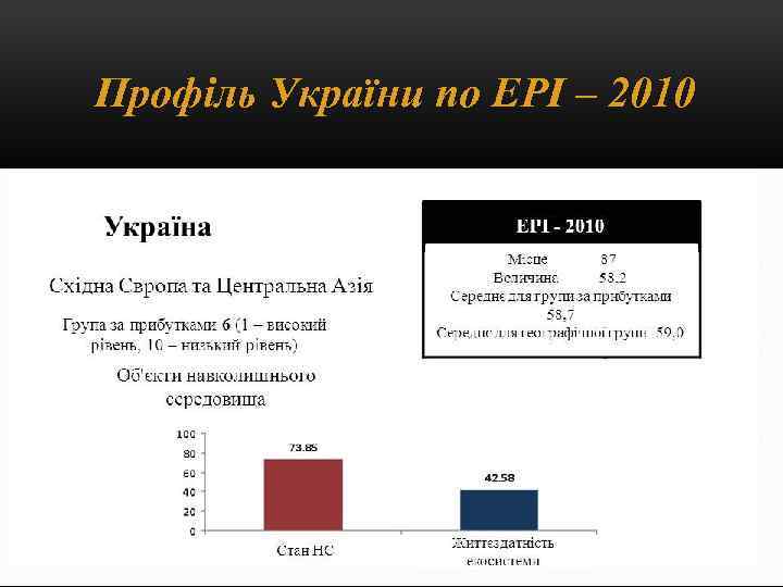Профіль України по EPI – 2010 