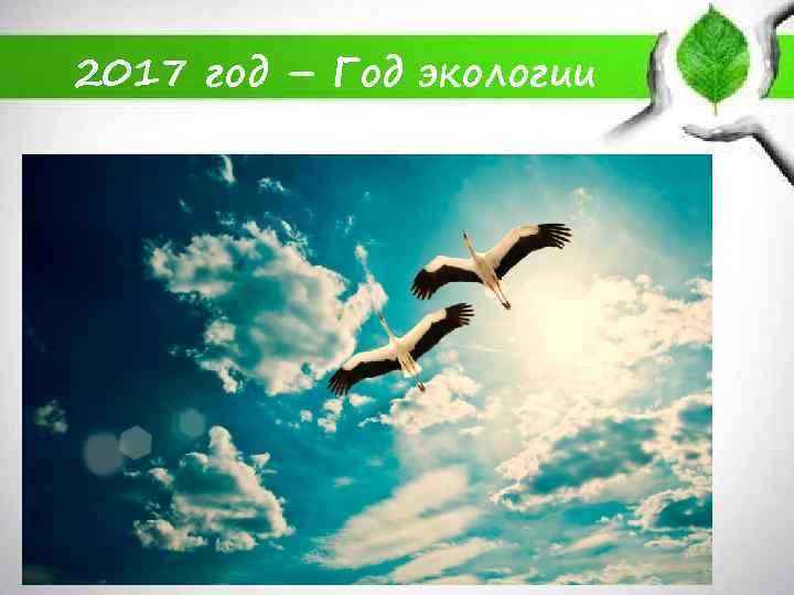 2017 год – Год экологии 
