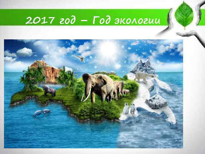 2017 год – Год экологии 