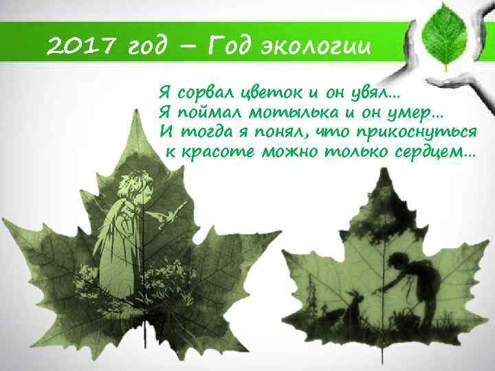 2017 год – Год экологии Я сорвал цветок и он увял… Я поймал мотылька