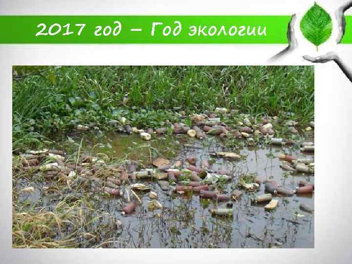2017 год – Год экологии 