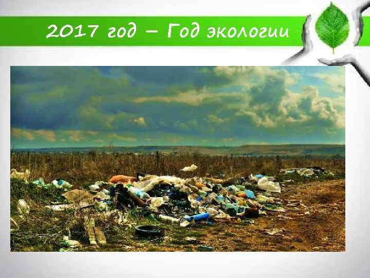 2017 год – Год экологии 