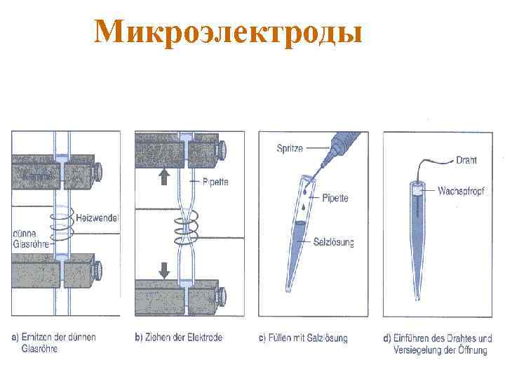 Микроэлектроды 