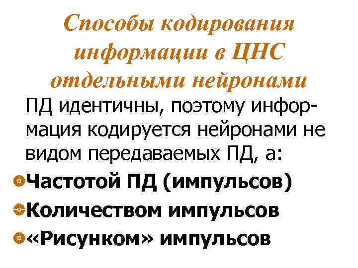 Способы кодирования информации в ЦНС отдельными нейронами ПД идентичны, поэтому информация кодируется нейронами не