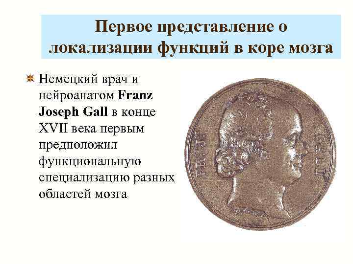 Первое представление о локализации функций в коре мозга Немецкий врач и нейроанатом Franz Joseph