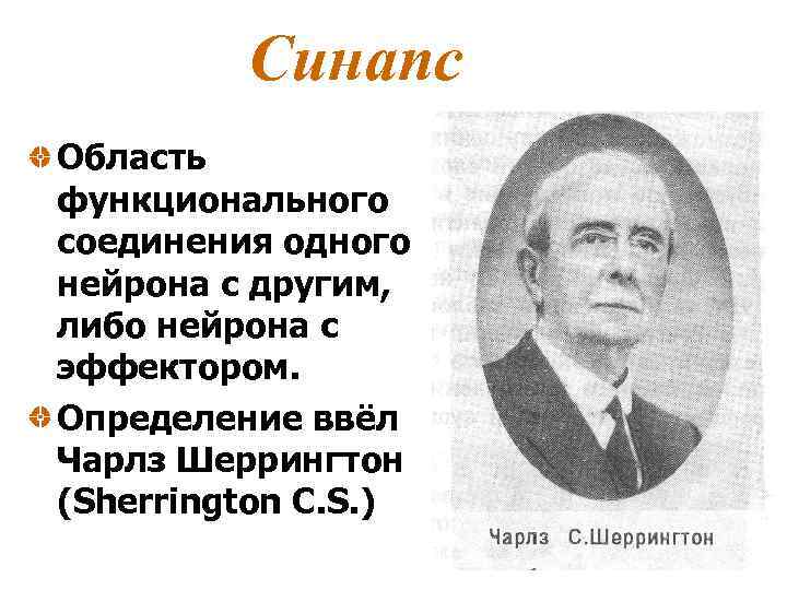 Синапс Область функционального соединения одного нейрона с другим, либо нейрона с эффектором. Определение ввёл