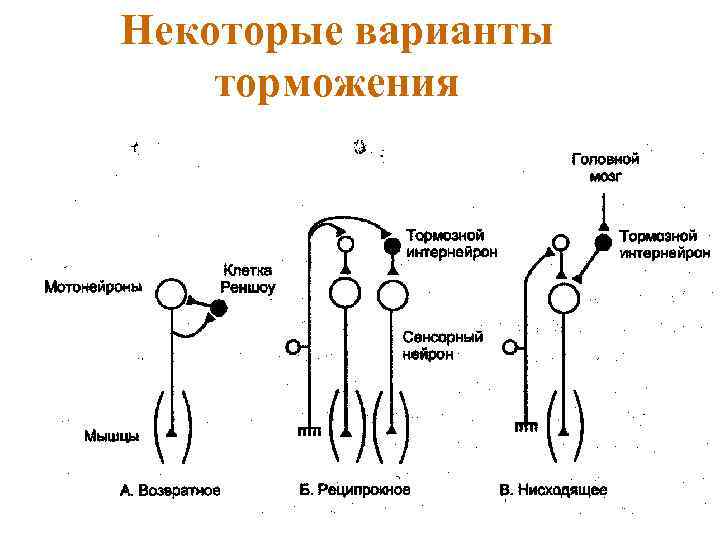 Некоторые варианты торможения 