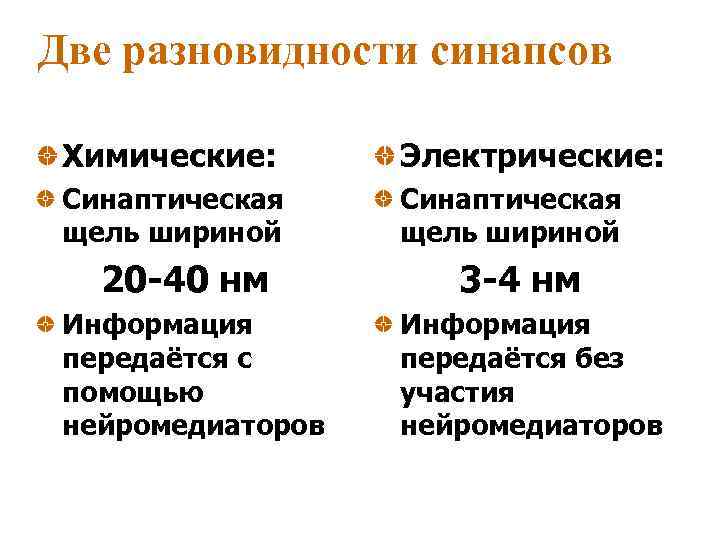 Две разновидности синапсов Химические: Электрические: Синаптическая щель шириной 20 -40 нм Информация передаётся с