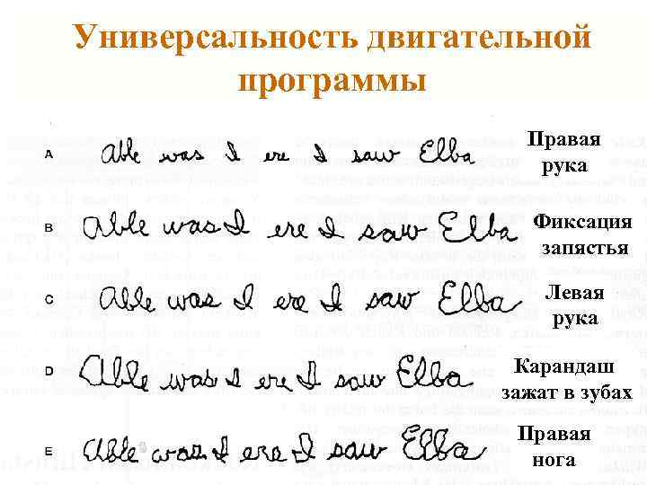 Универсальность двигательной программы Правая рука Фиксация запястья Левая рука Карандаш зажат в зубах Правая