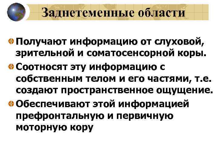 Заднетеменные области Получают информацию от слуховой, зрительной и соматосенсорной коры. Соотносят эту информацию с