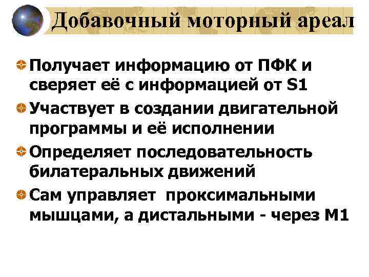 Добавочный моторный ареал Получает информацию от ПФК и сверяет её с информацией от S