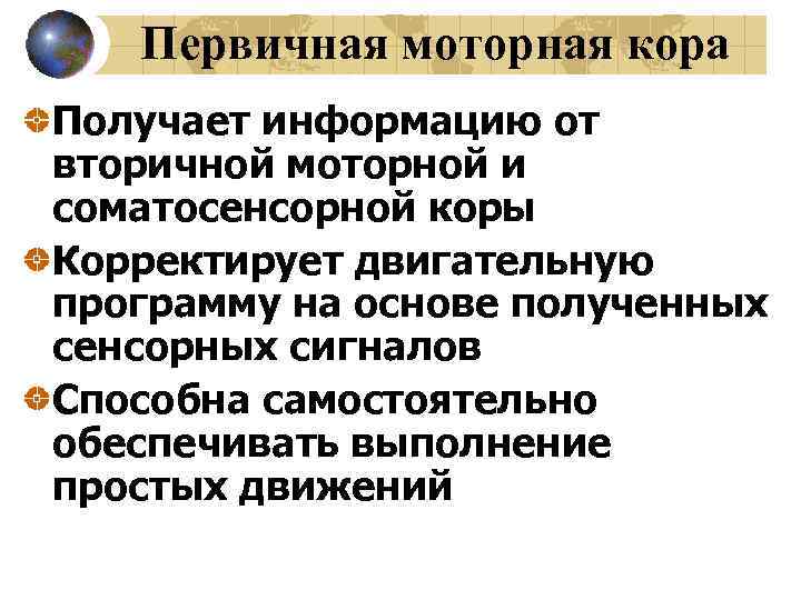 Первичная моторная кора Получает информацию от вторичной моторной и соматосенсорной коры Корректирует двигательную программу