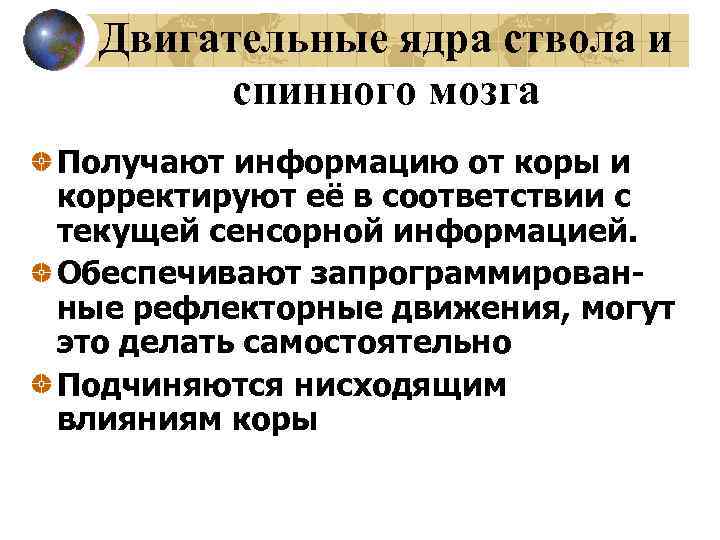 Двигательные ядра ствола и спинного мозга Получают информацию от коры и корректируют её в