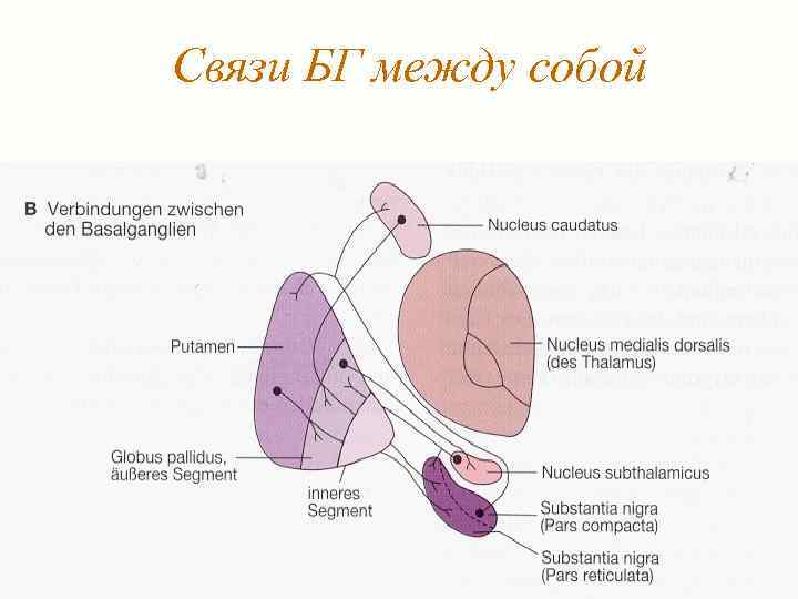 Связи БГ между собой 
