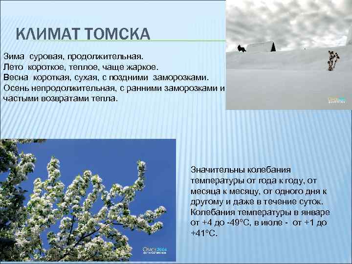КЛИМАТ ТОМСКА Зима суровая, продолжительная. Лето короткое, теплое, чаще жаркое. Весна короткая, сухая, с