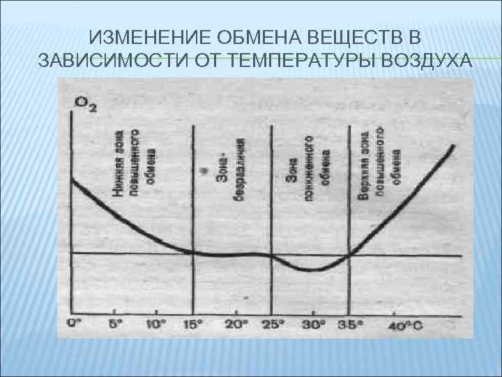 ИЗМЕНЕНИЕ ОБМЕНА ВЕЩЕСТВ В ЗАВИСИМОСТИ ОТ ТЕМПЕРАТУРЫ ВОЗДУХА 