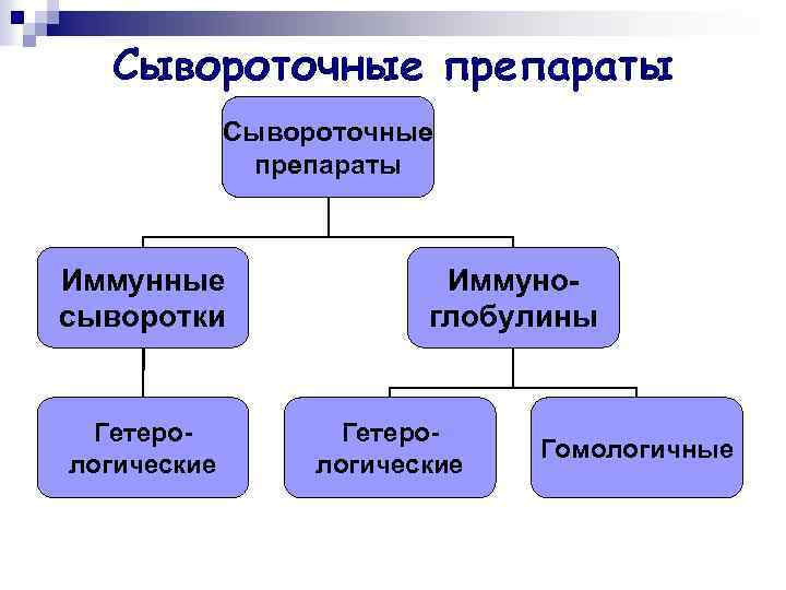 Сывороточные препараты Иммунные сыворотки Гетерологические Иммуноглобулины Гетерологические Гомологичные 